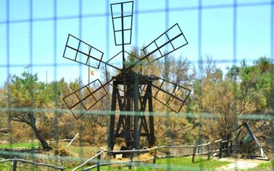 Ile kosztuje wiatrak produkujący prąd dla domu?