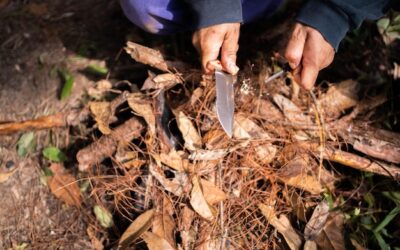Jak efektywnie spalać zrębki i uzyskać więcej ciepła?