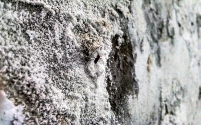 Jak wygląda tynk mineralny na elewacji budynku?