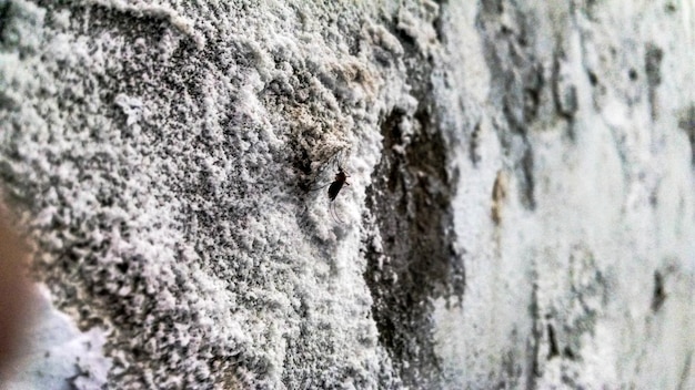 Jak wygląda tynk mineralny na elewacji budynku?